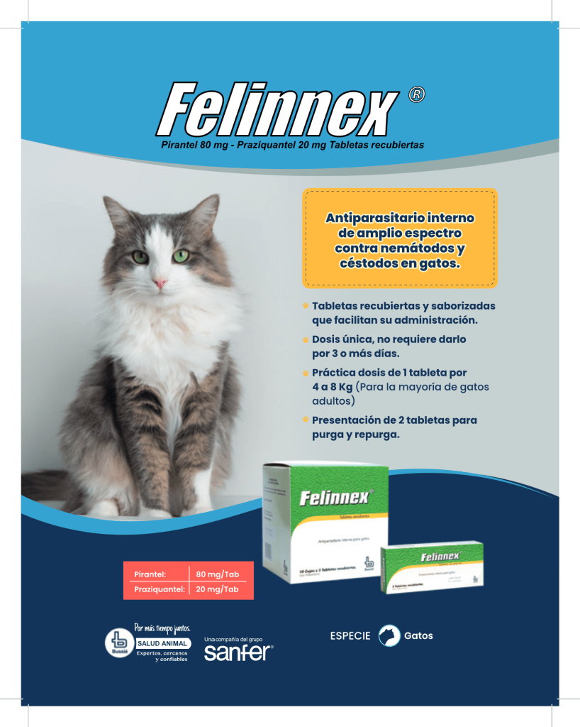 descarga (14)
